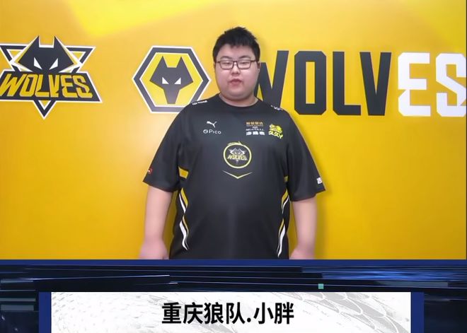 应对